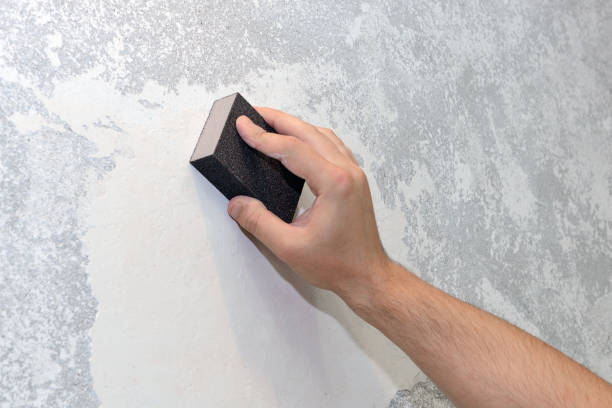 Best Industrial Mold Remediation  in Fort Smith, AR