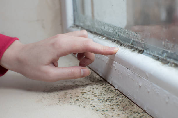 Best Commercial Mold Inspection  in Fort Smith, AR