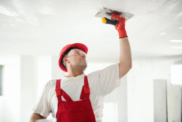 Best Basement Mold Removal  in Fort Smith, AR
