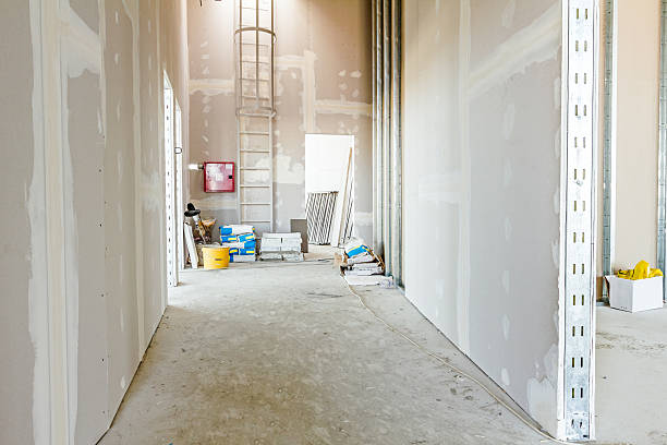 Best Post-Construction Mold Inspection  in Fort Smith, AR